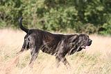 FILA BRASILEIRO 125